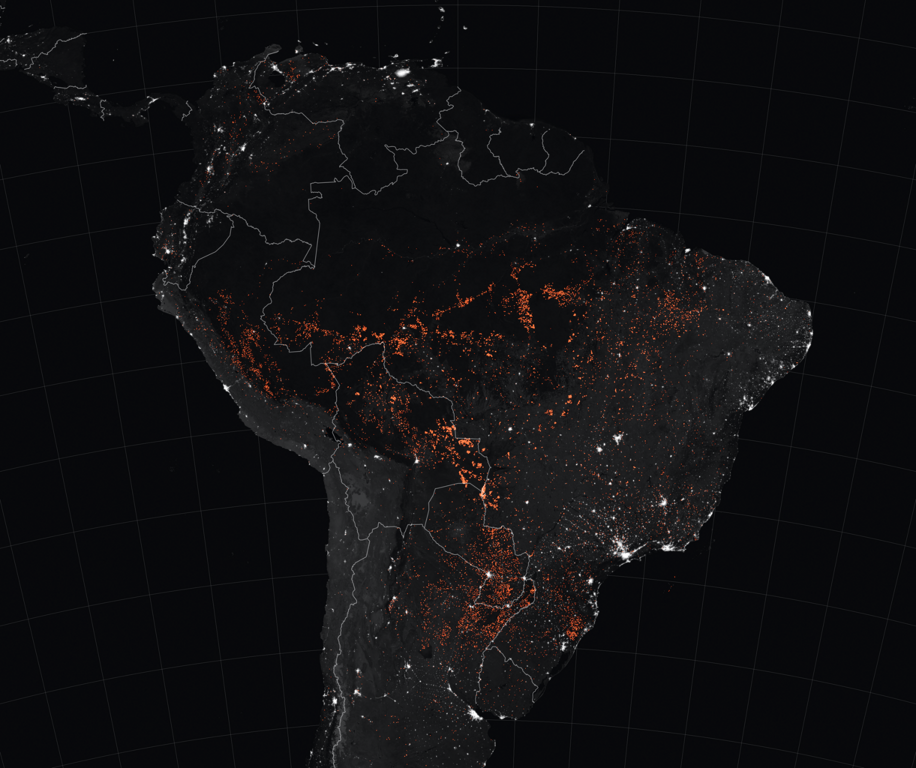 L’Amazzonia brucia, ma è una novità? Un compito di matematica e realtà per la tua classe