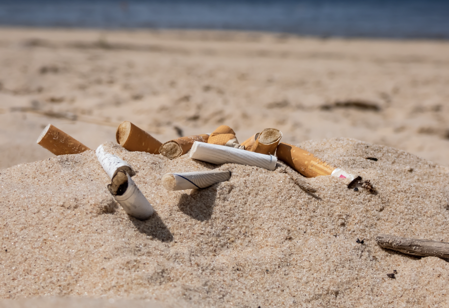 Un pianeta in fumo: qualche conto sui molteplici danni del tabacco