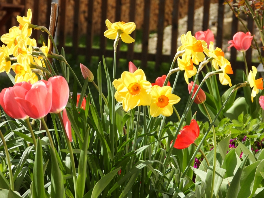 Primavera, tempo di equazioni