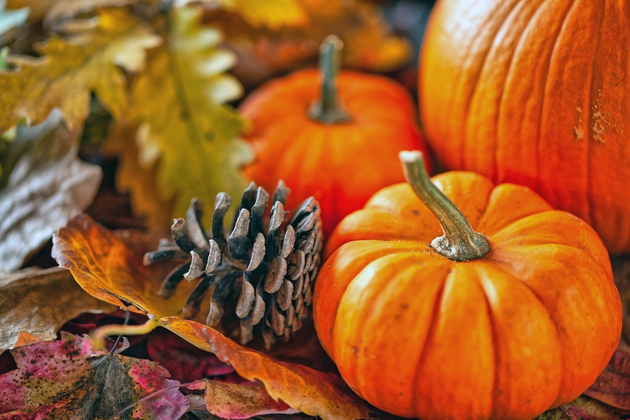 L’arrotondamento in autunno